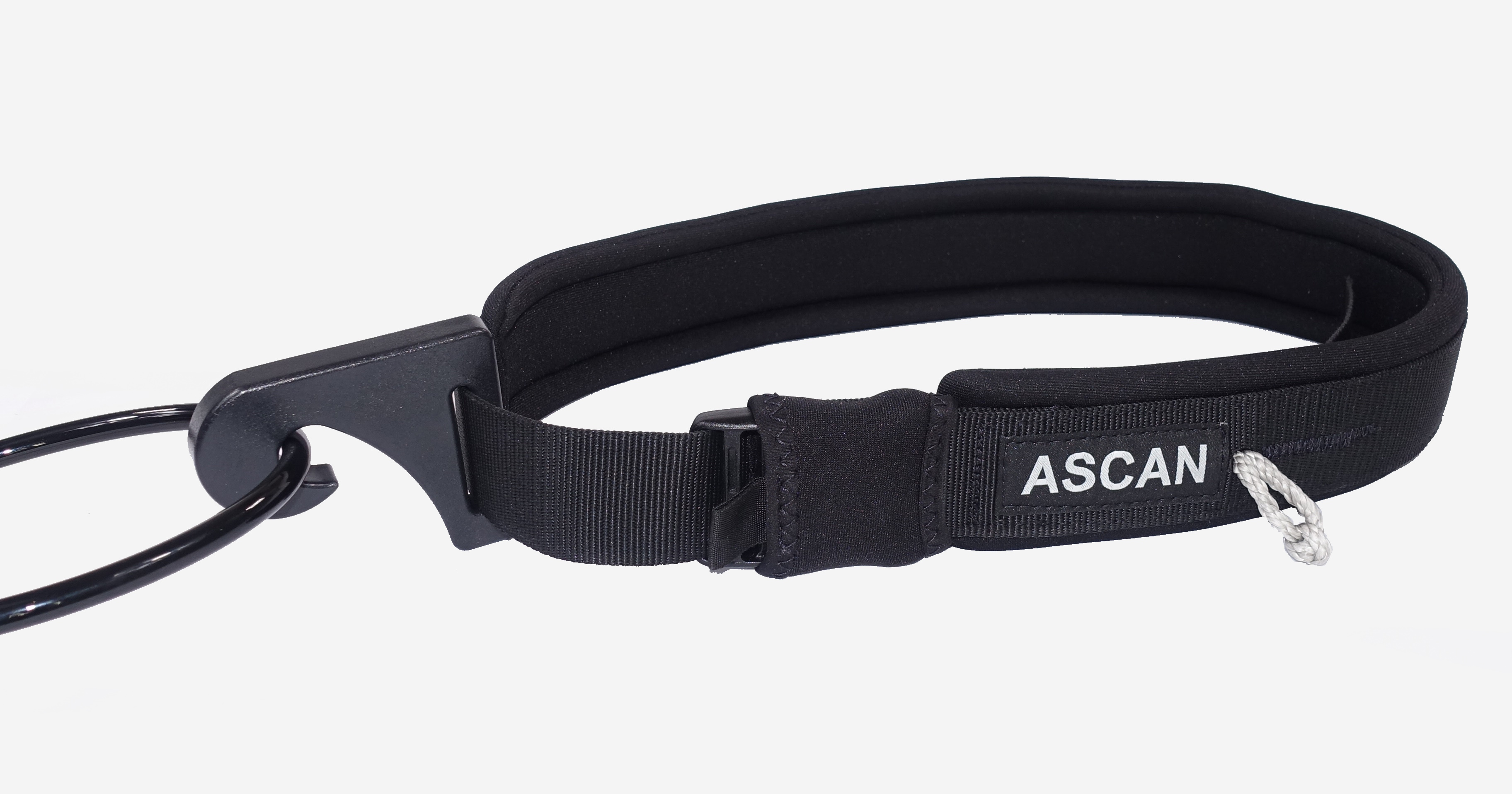 Wing & Board Belt mit Haken